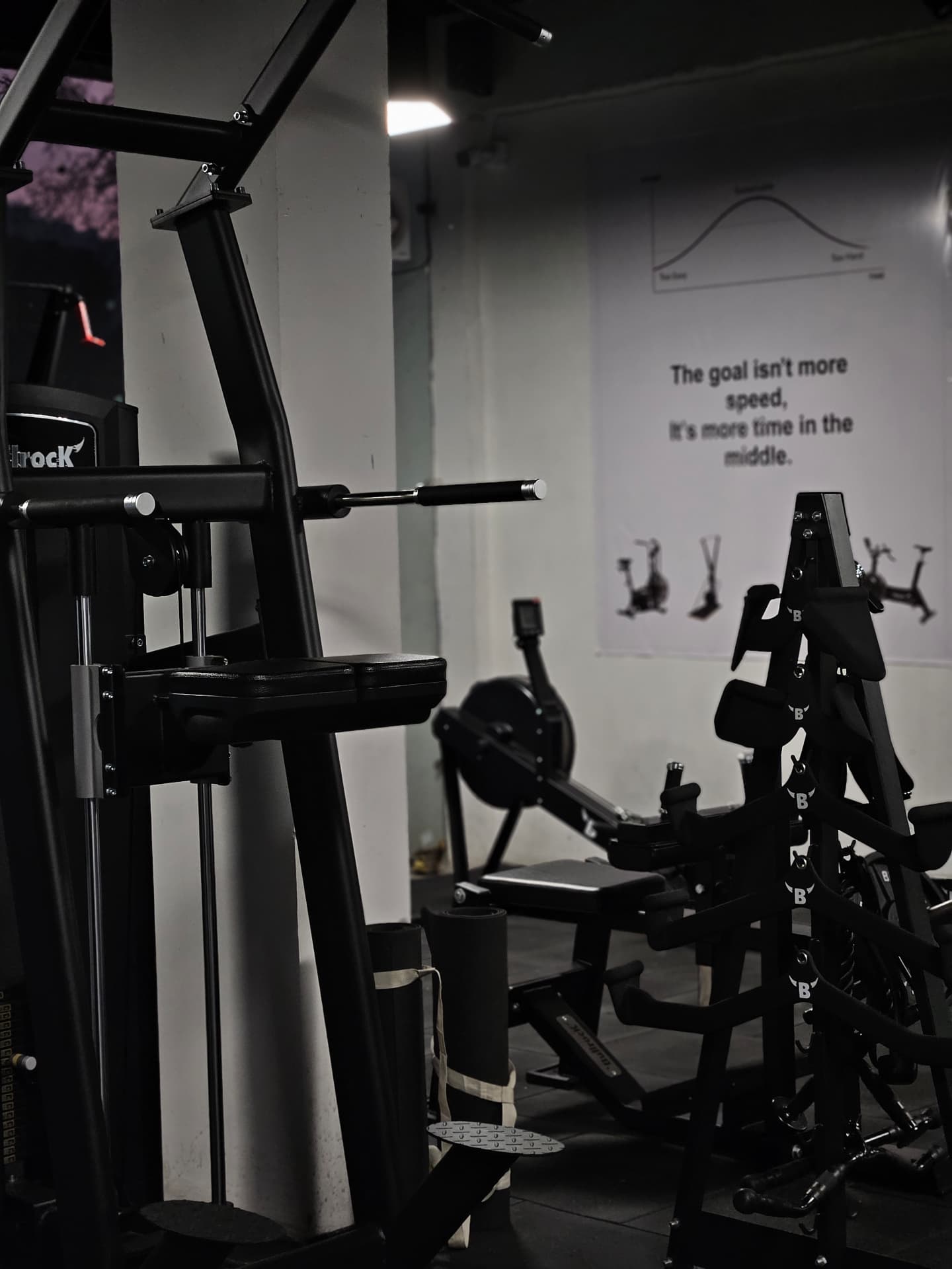 Assisted chin, dip and pull-up station at The Monochrome Gym