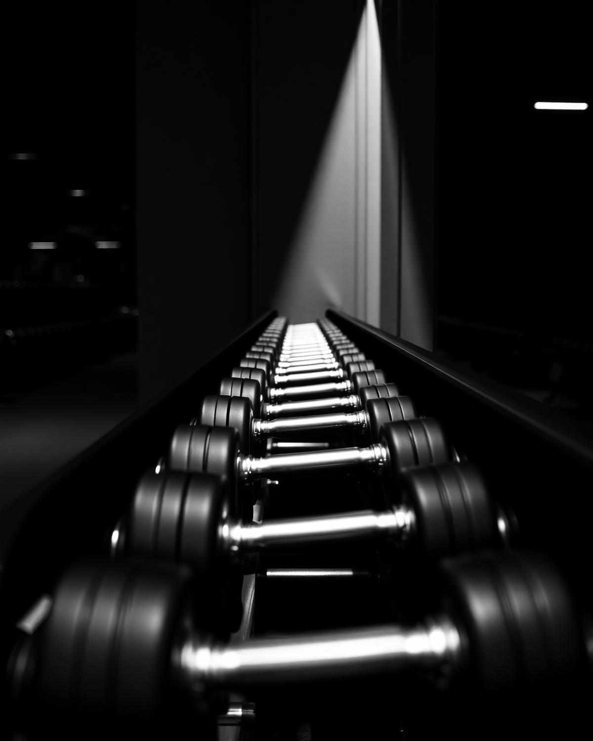 Dumbbell rack with dumbbells up to 45 kg